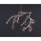 AM1330 BLOSSOM